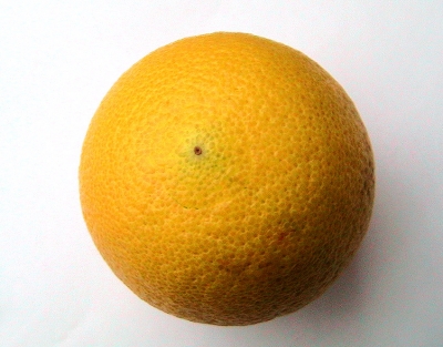 Arancio variegata