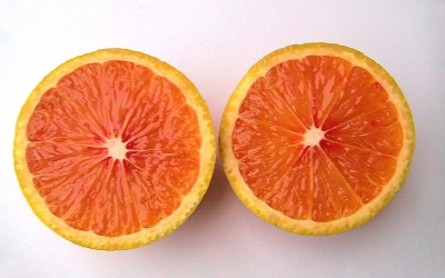 Arancio variegata